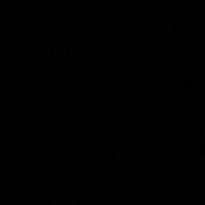 Meet your Posher, Willow